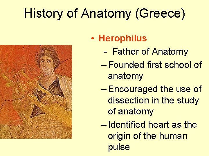History of Anatomy (Greece) • Herophilus - Father of Anatomy – Founded first school