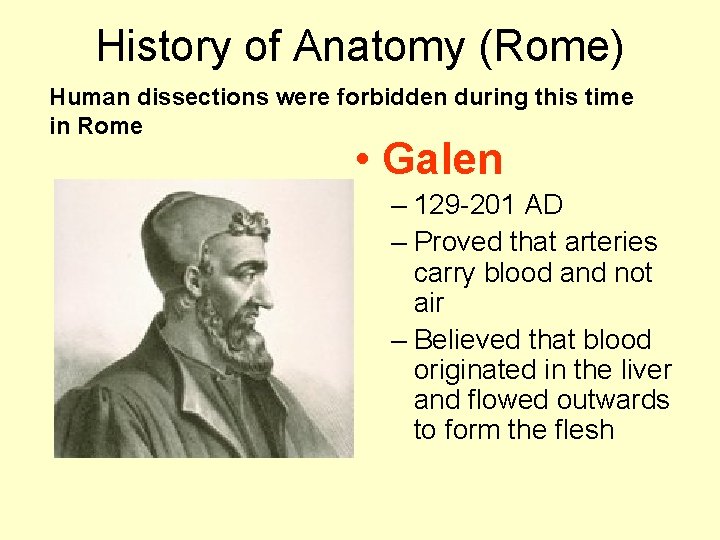 History of Anatomy (Rome) Human dissections were forbidden during this time in Rome •