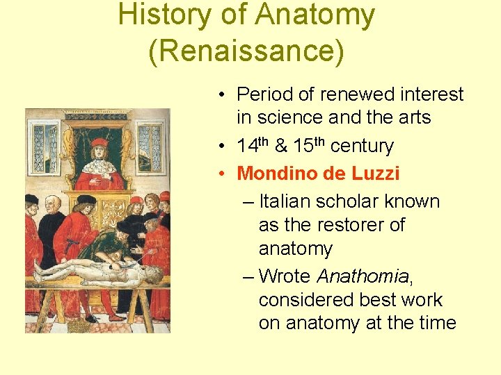 History of Anatomy (Renaissance) • Period of renewed interest in science and the arts