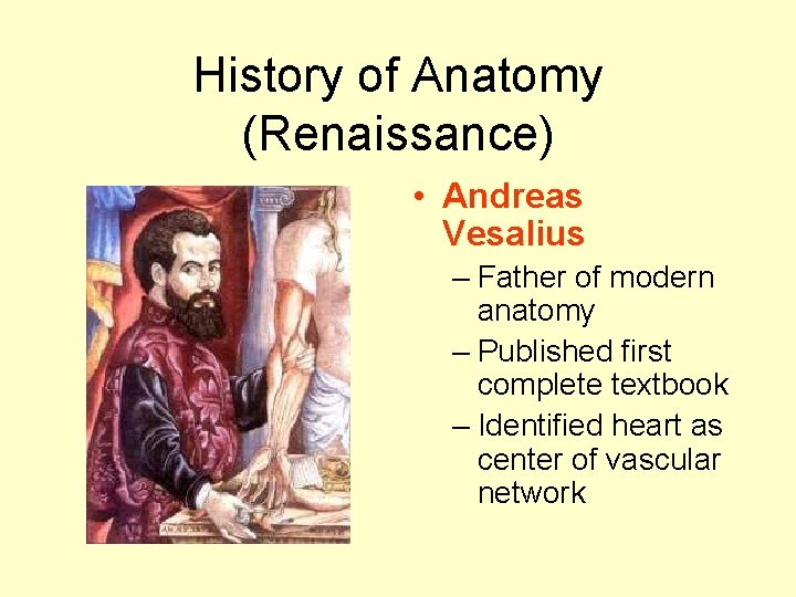 History of Anatomy (Renaissance) • Andreas Vesalius – Father of modern anatomy – Published