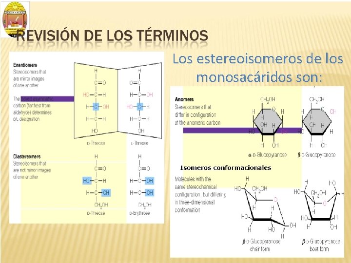 Los estereoisomeros de los monosacáridos son: 