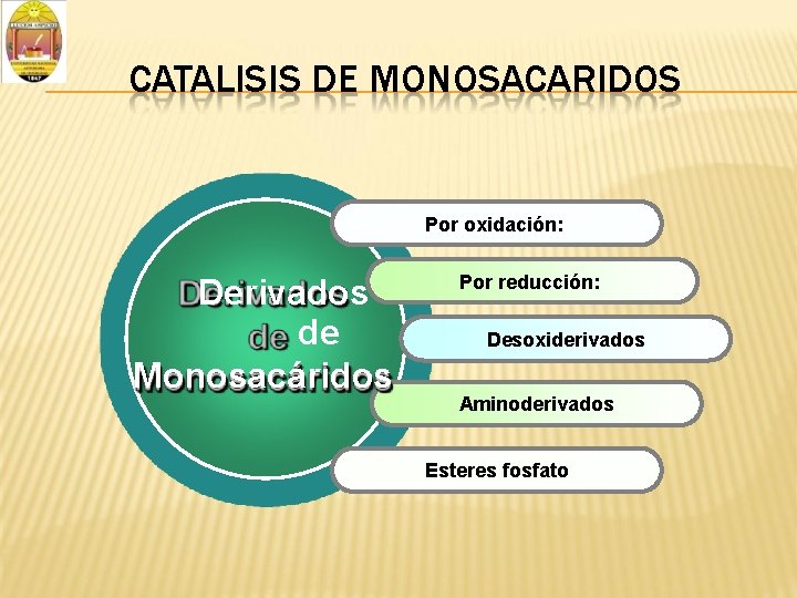 CATALISIS DE MONOSACARIDOS Por oxidación: Derivados de Monosacáridos Por reducción: Desoxiderivados Aminoderivados Esteres fosfato