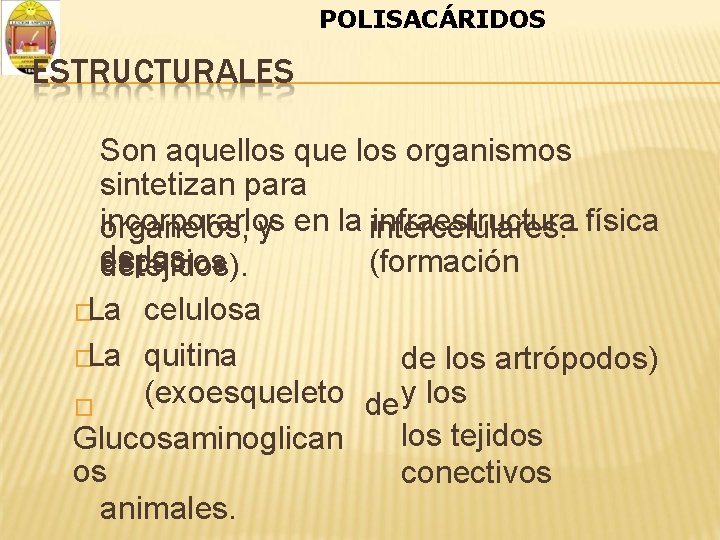 POLISACÁRIDOS ESTRUCTURALES Son aquellos que los organismos sintetizan para incorporarlos en la infraestructura física