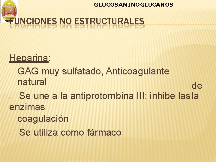 GLUCOSAMINOGLUCANOS FUNCIONES NO ESTRUCTURALES Heparina: GAG muy sulfatado, Anticoagulante natural de - Se une