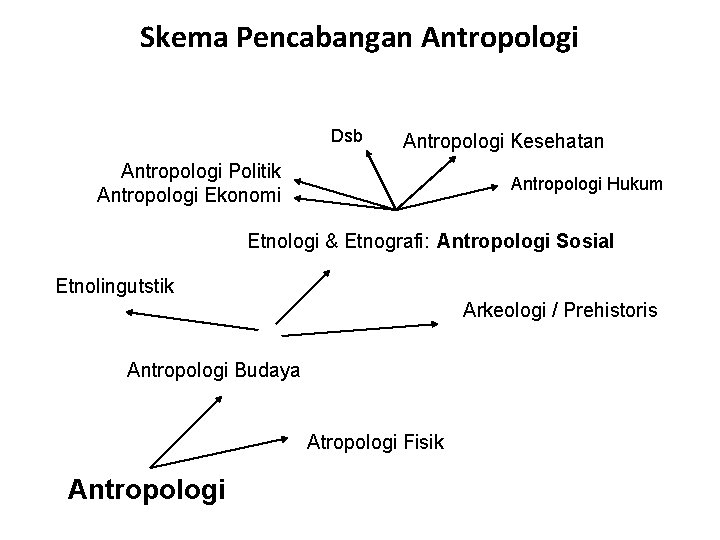 Skema Pencabangan Antropologi Dsb Antropologi Kesehatan Antropologi Politik Antropologi Ekonomi Antropologi Hukum Etnologi &