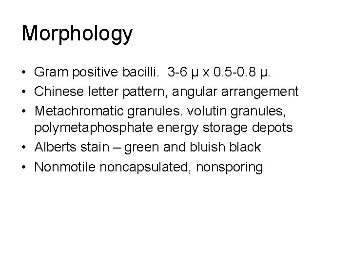 Morphology • Gram positive bacilli. 3 -6 μ x 0. 5 -0. 8 μ.