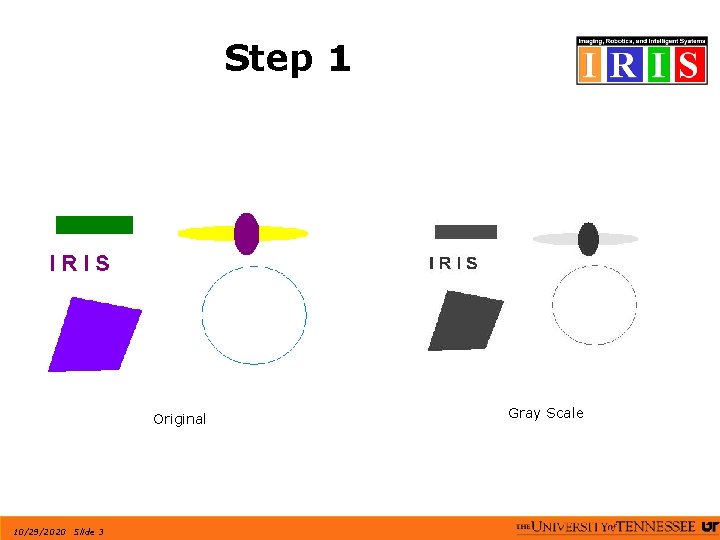 Step 1 Original 10/29/2020 Slide 3 Gray Scale 
