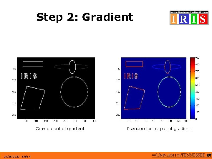Step 2: Gradient Gray output of gradient 10/29/2020 Slide 4 Pseudocolor output of gradient