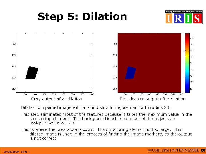 Step 5: Dilation Gray output after dilation Pseudocolor output after dilation Dilation of opened