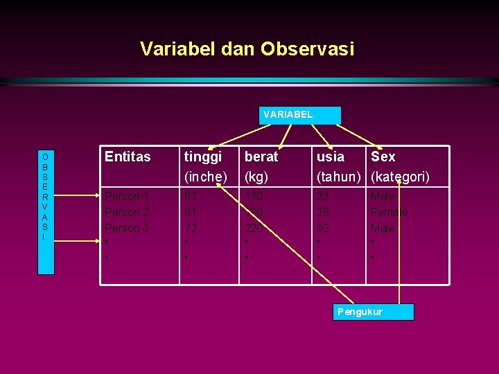 Variabel dan Observasi VARIABEL O B S E R V A S I Entitas