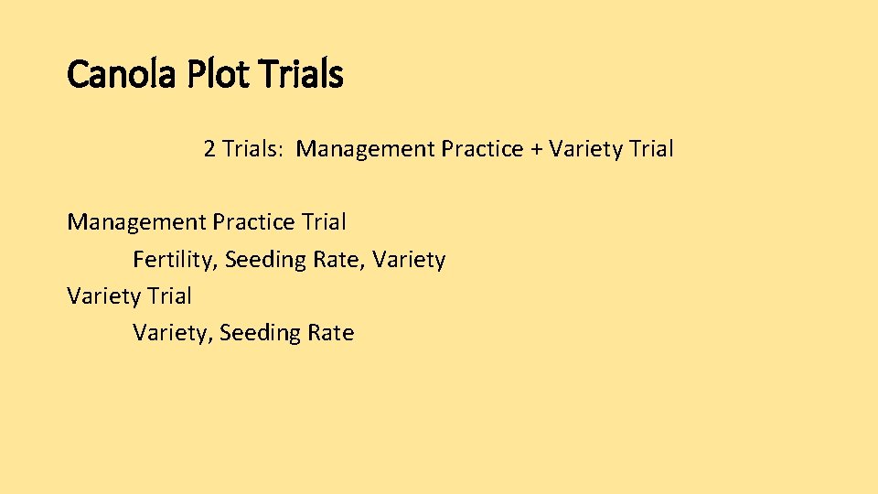 Canola Plot Trials 2 Trials: Management Practice + Variety Trial Management Practice Trial Fertility,