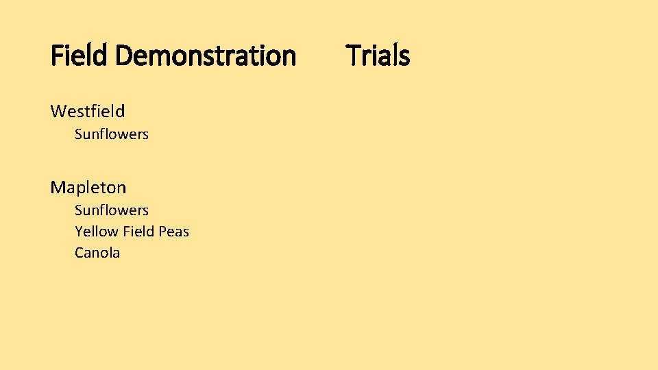 Field Demonstration Westfield Sunflowers Mapleton Sunflowers Yellow Field Peas Canola Trials 