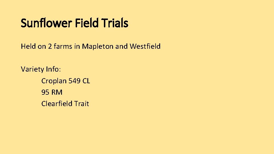 Sunflower Field Trials Held on 2 farms in Mapleton and Westfield Variety Info: Croplan