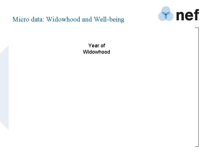 Micro data: Widowhood and Well-being Year of Widowhood 