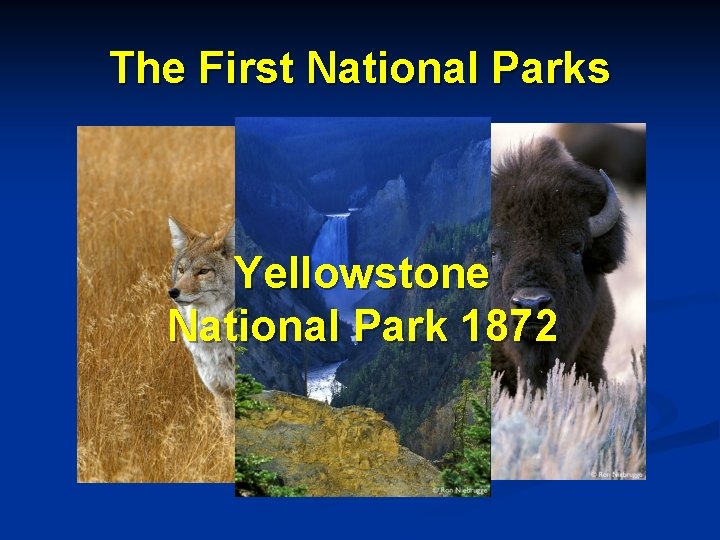 The First National Parks Yellowstone National Park 1872 