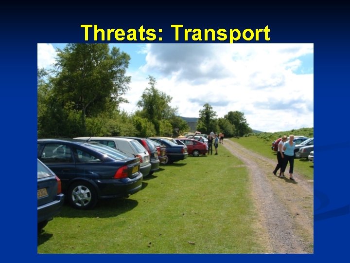 Threats: Transport 