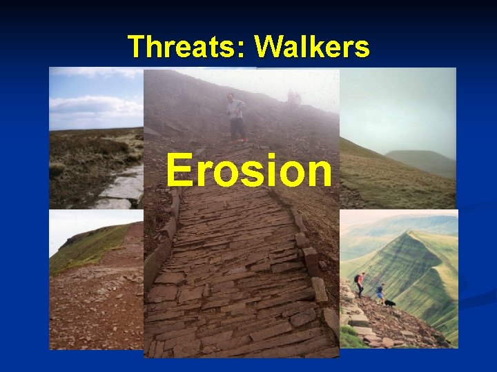 Threats: Walkers Erosion 