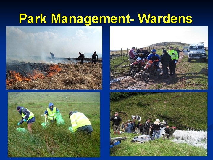 Park Management- Wardens 
