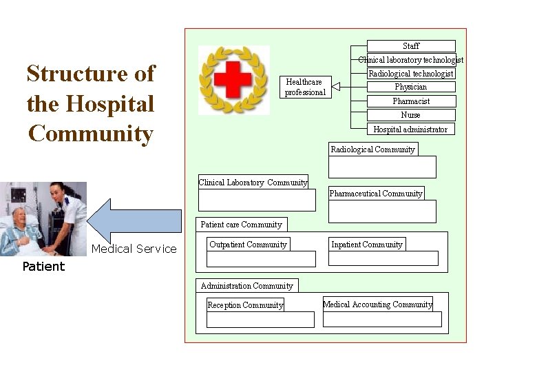 Staff Clinical laboratory technologist Structure of the Hospital Community Healthcare professional Radiological technologist Physician