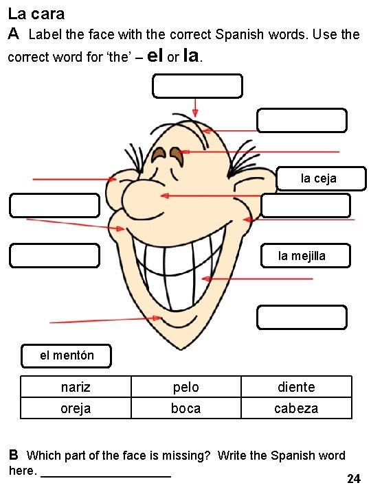 La cara A Label the face with the correct Spanish words. Use the correct