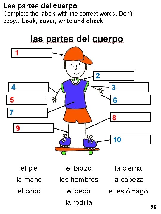 Las partes del cuerpo Complete the labels with the correct words. Don’t copy…Look, cover,