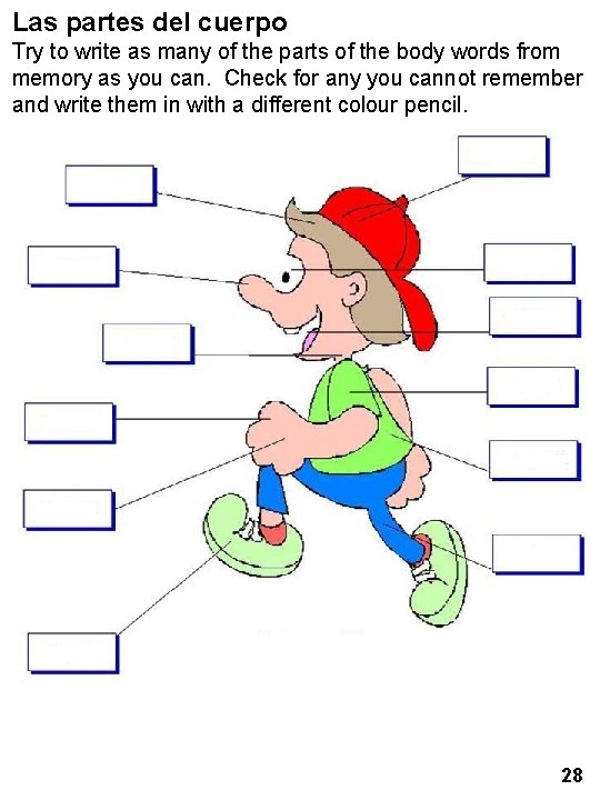 Las partes del cuerpo Try to write as many of the parts of the