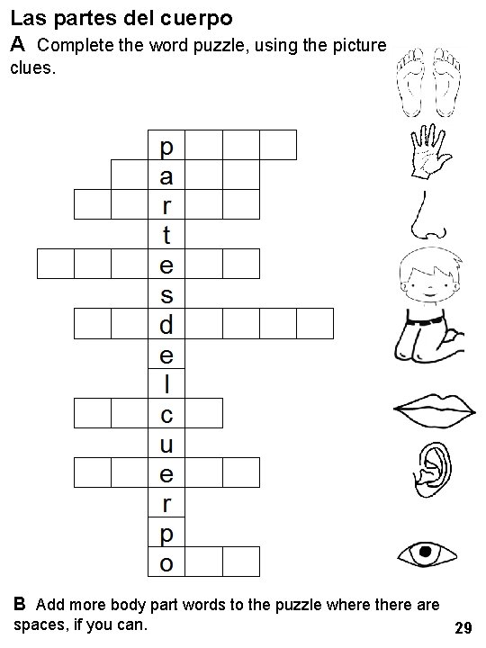 Las partes del cuerpo A Complete the word puzzle, using the picture clues. B