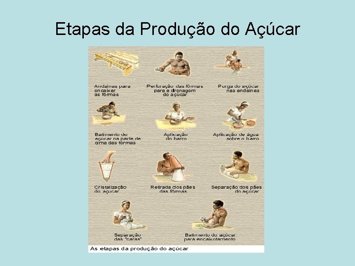 Etapas da Produção do Açúcar 