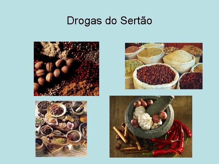 Drogas do Sertão 