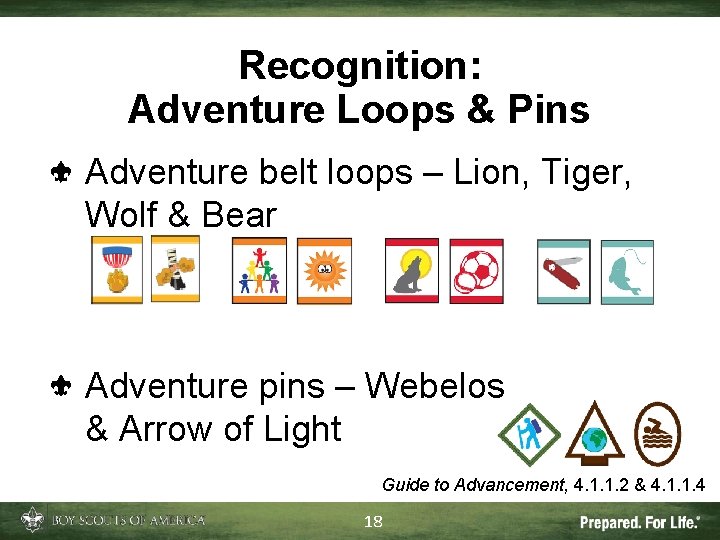 Recognition: Adventure Loops & Pins Adventure belt loops – Lion, Tiger, Wolf & Bear