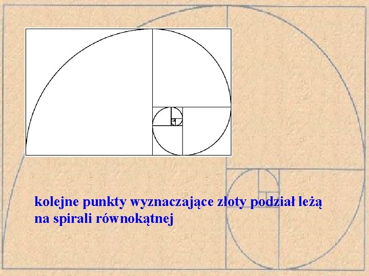 kolejne punkty wyznaczające złoty podział leżą na spirali równokątnej 