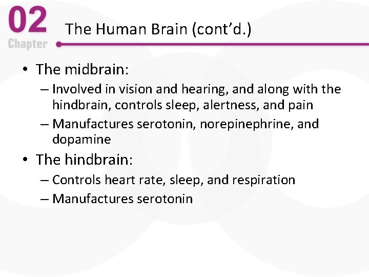 The Human Brain (cont’d. ) • The midbrain: – Involved in vision and hearing,