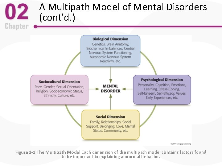 A Multipath Model of Mental Disorders (cont’d. ) Figure 2 -1 The Multipath Model