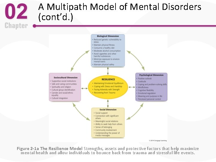 A Multipath Model of Mental Disorders (cont’d. ) Figure 2 -1 a The Resilience