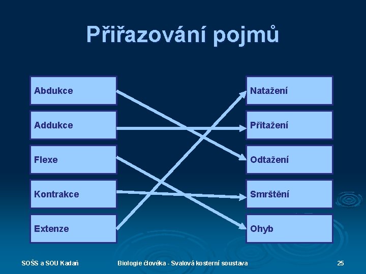 Přiřazování pojmů Abdukce Natažení Addukce Přitažení Flexe Odtažení Kontrakce Smrštění Extenze Ohyb SOŠS a