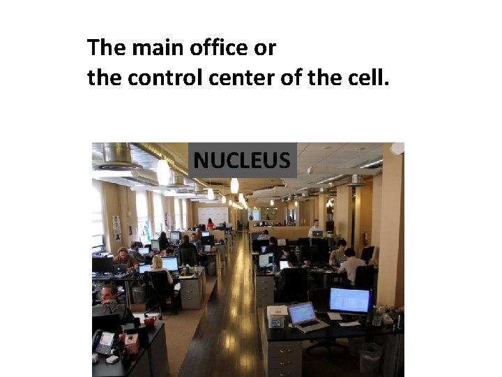 The main office or the control center of the cell. NUCLEUS 