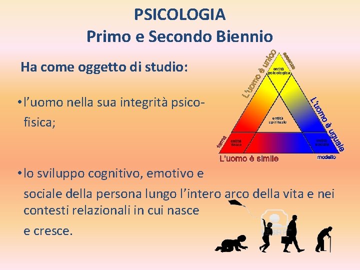  PSICOLOGIA Primo e Secondo Biennio Ha come oggetto di studio: • l’uomo nella