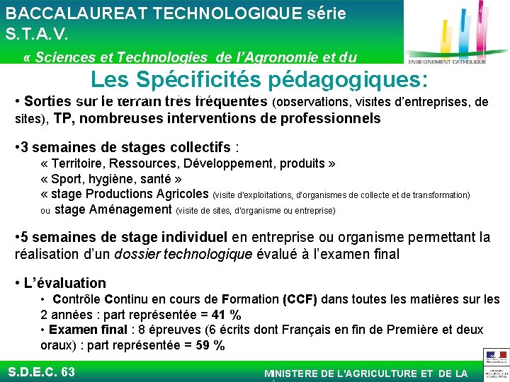  BACCALAUREAT TECHNOLOGIQUE série S. T. A. V. « Sciences et Technologies de l’Agronomie