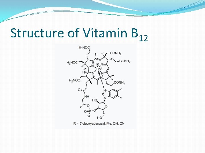 Structure of Vitamin B 12 