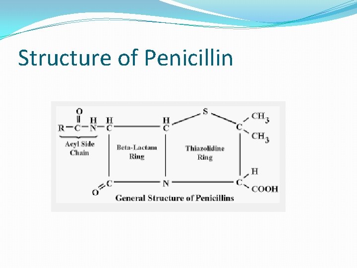 Structure of Penicillin 