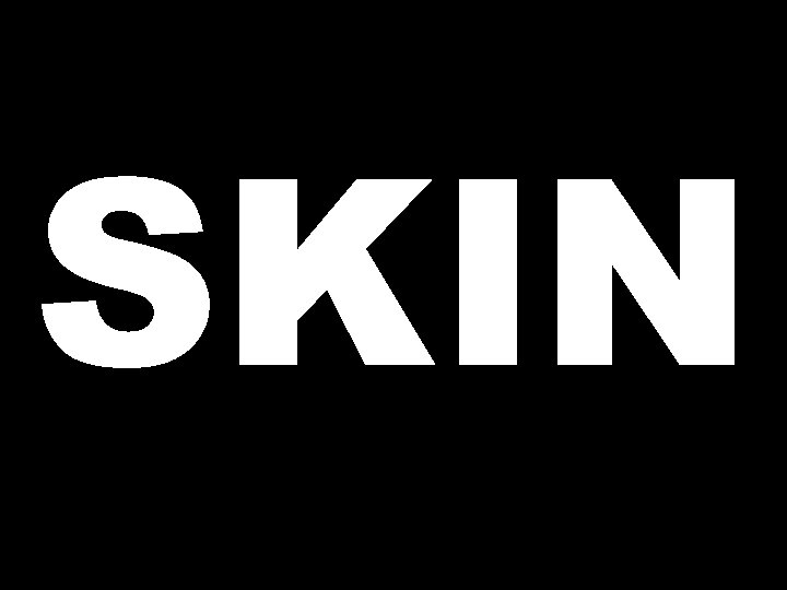 SKIN 