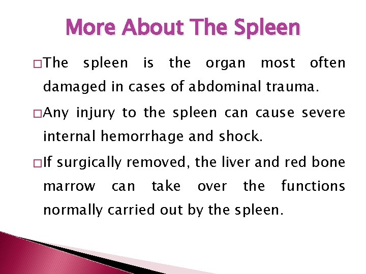 More About The Spleen � The spleen is the organ most often damaged in