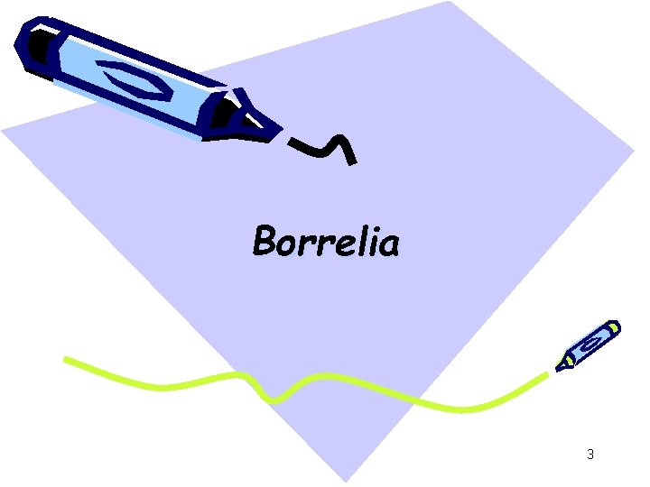 Borrelia 3 