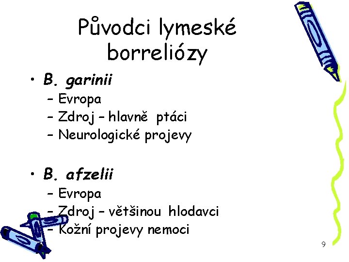 Původci lymeské borreliózy • B. garinii – Evropa – Zdroj – hlavně ptáci –