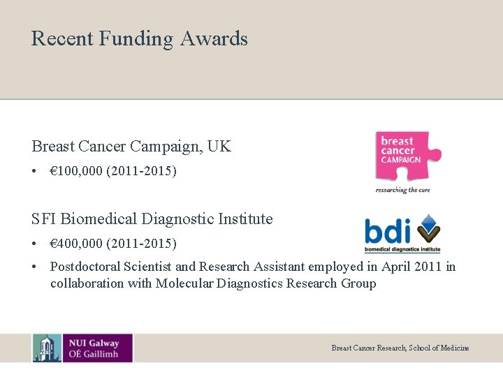 Recent Funding Awards Breast Cancer Campaign, UK • € 100, 000 (2011 -2015) SFI