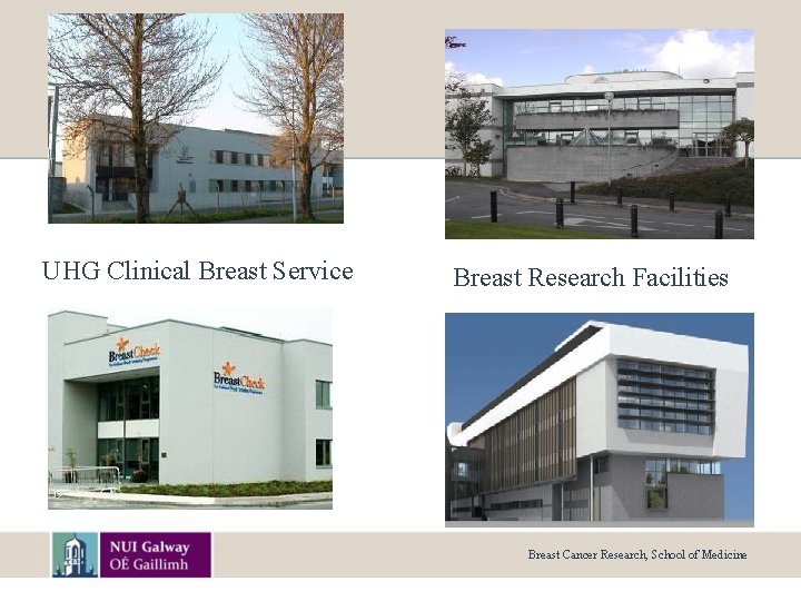 UHG Clinical Breast Service Breast Research Facilities Breast Cancer Research, School of Medicine 