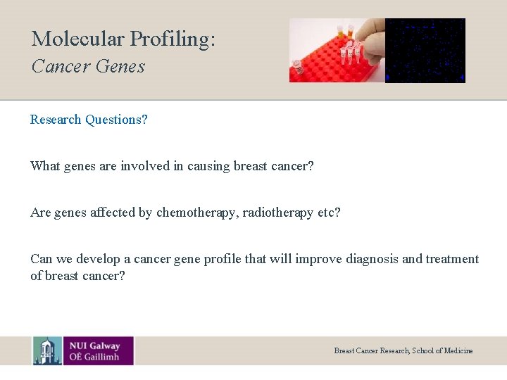 Molecular Profiling: Cancer Genes Research Questions? What genes are involved in causing breast cancer?