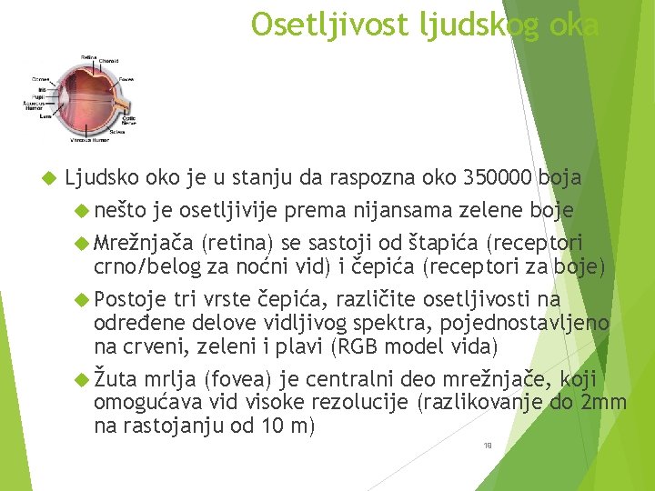 Osetljivost ljudskog oka Ljudsko oko je u stanju da raspozna oko 350000 boja nešto