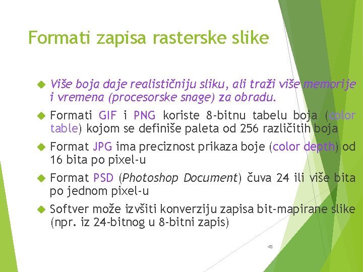 Formati zapisa rasterske slike Više boja daje realističniju sliku, ali traži više memorije i