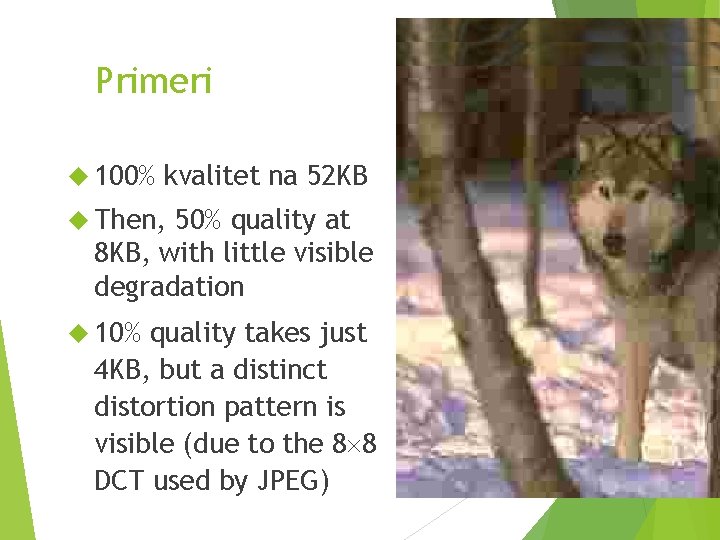 Primeri 100% kvalitet na 52 KB Then, 50% quality at 8 KB, with little